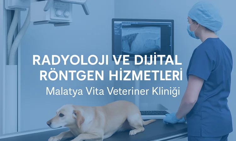 Radyoloji ve Dijital Röntgen Hizmetleri | Malatya Vita Veteriner Kliniği